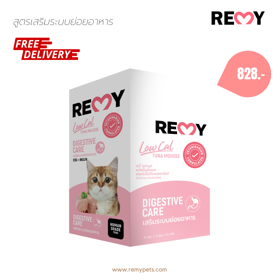 REMY Cat Treat DIGESTIVE CARE Support digestive system x12 bags (48