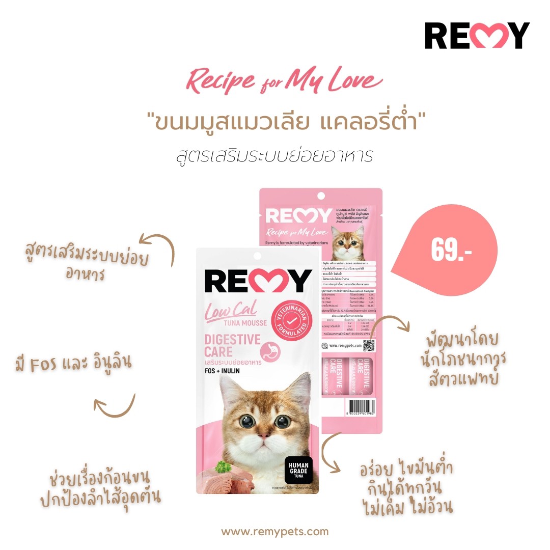 REMY Cat Treat DIGESTIVE CARE Supports the digestive system REMY Pets